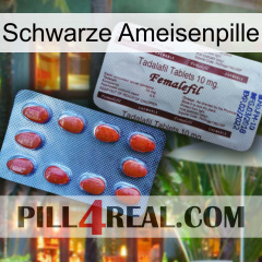 Black Ant Pill 36